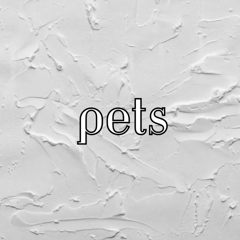 ♡︎ - Picture 10 of 12